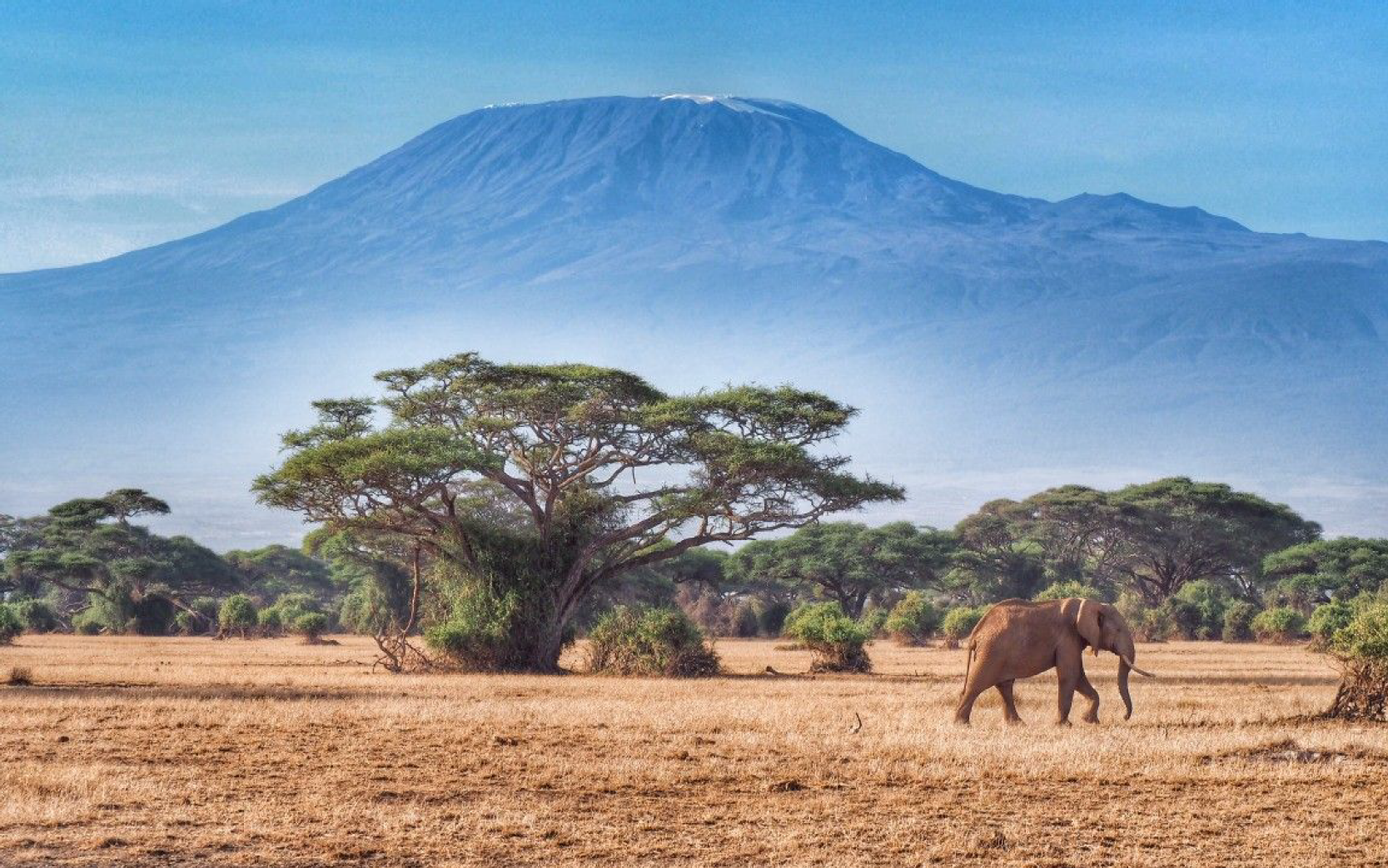 Africa