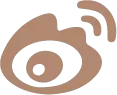 Social 6